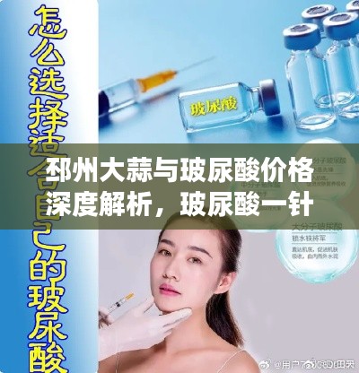 邳州大蒜与玻尿酸价格深度解析,玻尿酸一针究竟要多少钱?