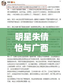 明星朱倩怡与广西最新高速公路图,释义、实践与警示