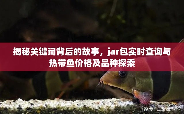 揭秘关键词背后的故事，jar包实时查询与热带鱼价格及品种探索