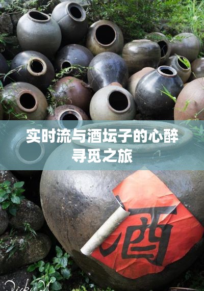 实时流与酒坛子的心醉寻觅之旅