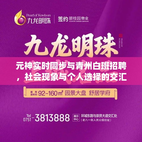 元神实时同步与青州白班招聘，社会现象与个人选择的交汇点