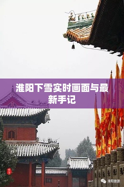 淮阳下雪实时画面与最新手记