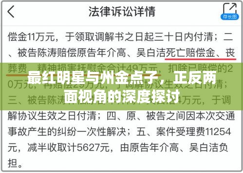 最红明星与州金点子，正反两面视角的深度探讨