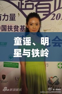 童谣、明星与铁岭天水丰汇的交汇点