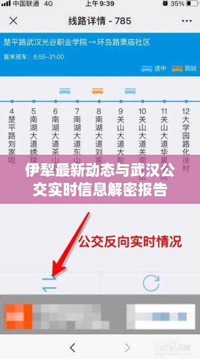 伊犁最新动态与武汉公交实时信息解密报告