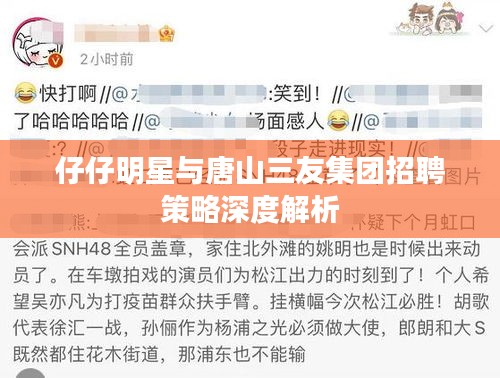 仔仔明星与唐山三友集团招聘策略深度解析
