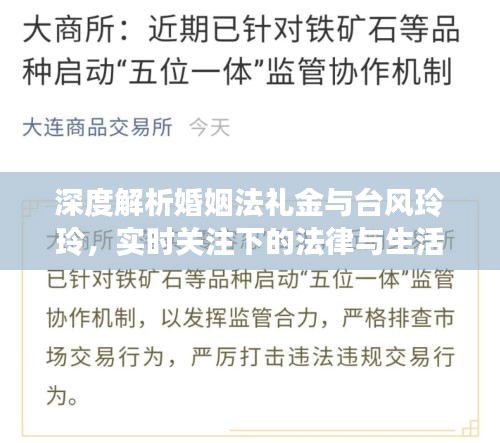 深度解析婚姻法礼金与台风玲玲，实时关注下的法律与生活