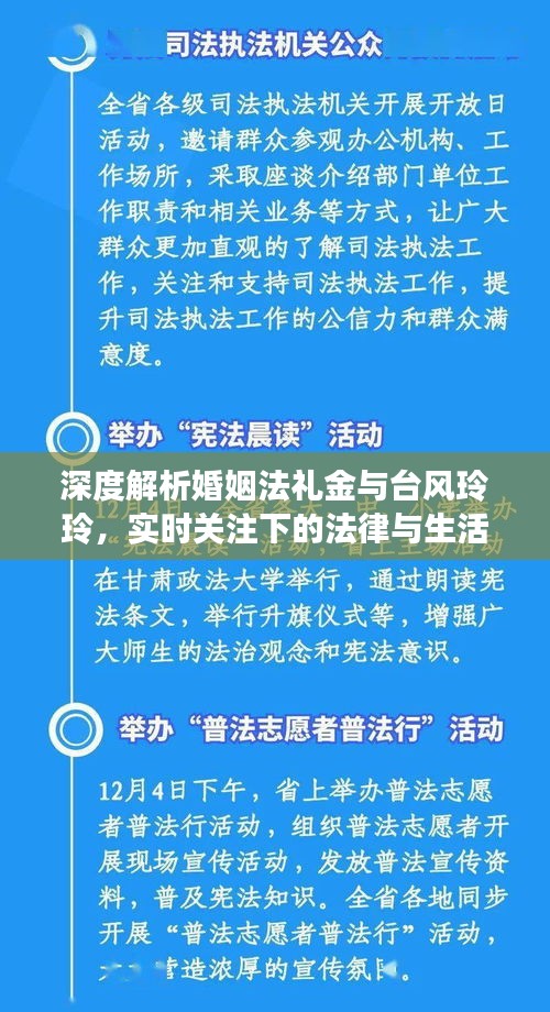 深度解析婚姻法礼金与台风玲玲,实时关注下的法律与生活