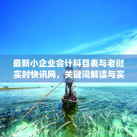 最新小企业会计科目表与老挝实时快讯网，关键词解读与实施指导