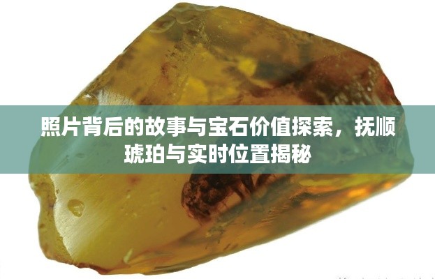 照片背后的故事与宝石价值探索，抚顺琥珀与实时位置揭秘