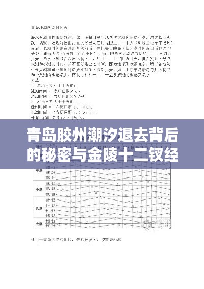 青岛胶州潮汐退去背后的秘密与金陵十二钗经济现象解读