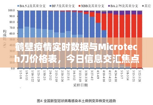 鹤壁疫情实时数据与Microtech刀价格表,今日信息交汇焦点