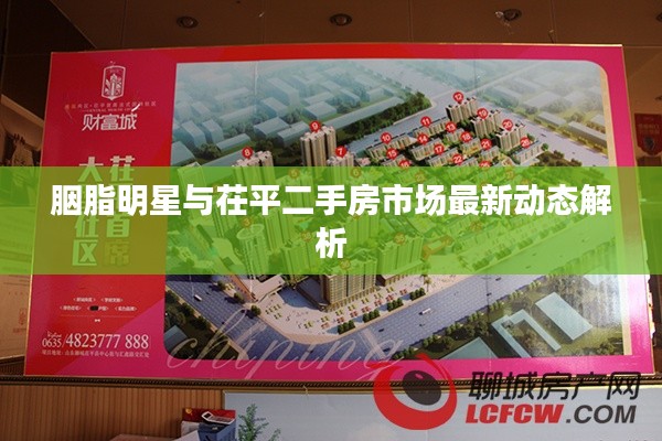 胭脂明星与茌平二手房市场最新动态解析