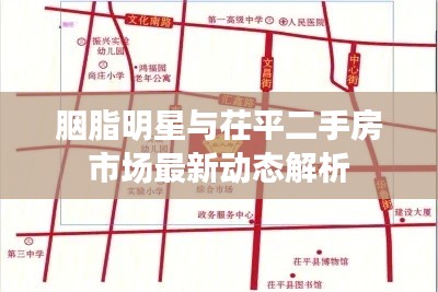 胭脂明星与茌平二手房市场最新动态解析