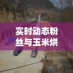 实时动态粉丝与玉米烘干塔设备价格,解读、实践与警示