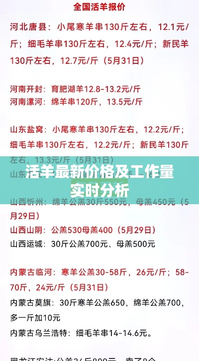 活羊最新价格及工作量实时分析
