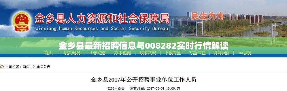 金乡县最新招聘信息与008282实时行情解读