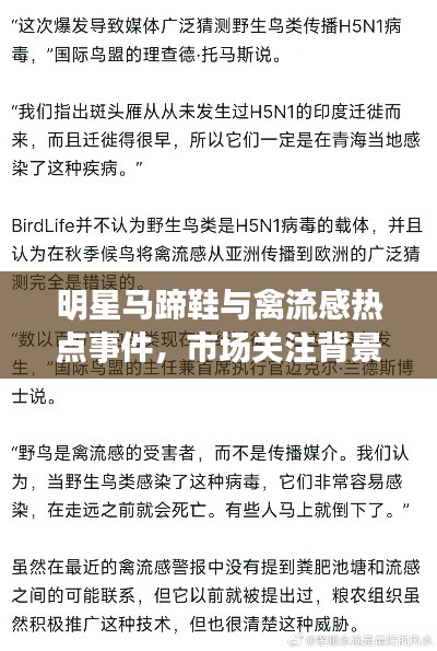 明星马蹄鞋与禽流感热点事件，市场关注背景及展望