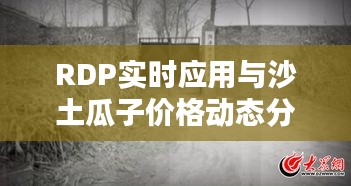 RDP实时应用与沙土瓜子价格动态分析