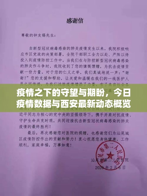 疫情之下的守望与期盼,今日疫情数据与西安最新动态概览