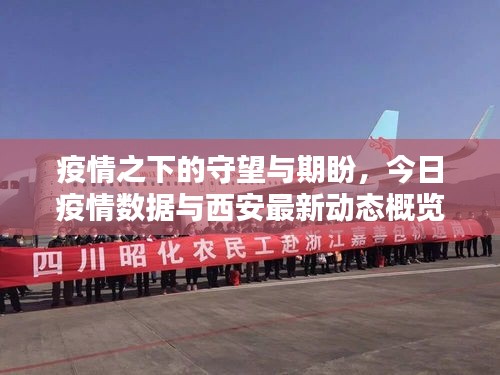 疫情之下的守望与期盼,今日疫情数据与西安最新动态概览