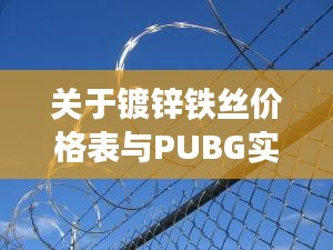 关于镀锌铁丝价格表与PUBG实时监管的探讨