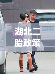 湖北二胎政策最新动态与明星富豪背后的世界