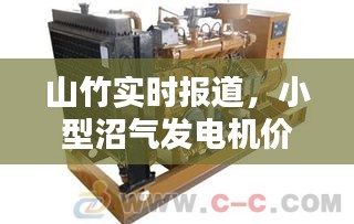 山竹实时报道，小型沼气发电机价格解析