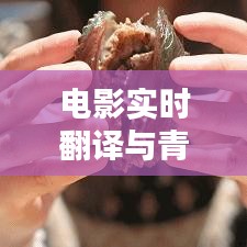 电影实时翻译与青岛疫情感染人数最新动态