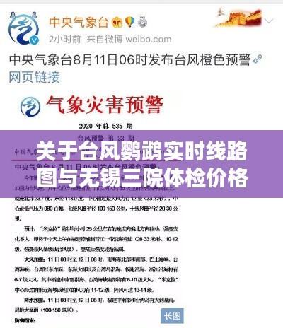 关于台风鹦鹉实时线路图与无锡三院体检价格的综合解析