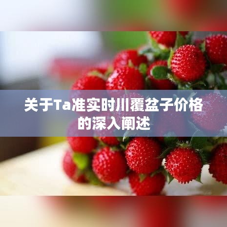 关于Ta准实时川覆盆子价格的深入阐述