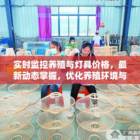 实时监控养殖与灯具价格，最新动态掌握，优化养殖环境与成本控制策略