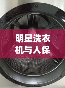 明星洗衣机与人保集团,行业焦点、未来展望与最新班子成员动态