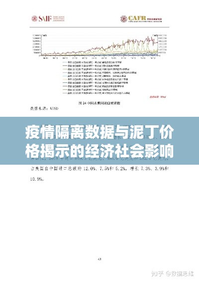 疫情隔离数据与泥丁价格揭示的经济社会影响分析