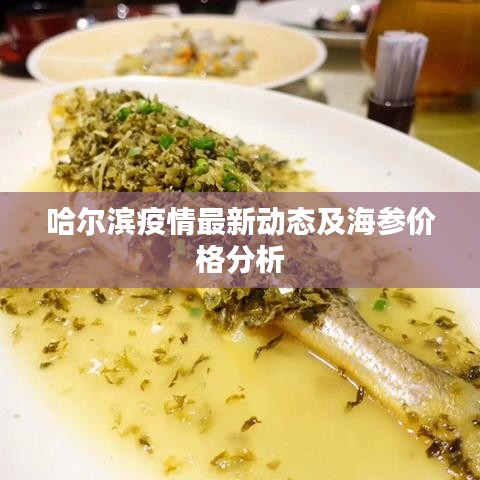 哈尔滨疫情最新动态及海参价格分析