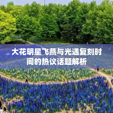 大花明星飞燕与光遇复刻时间的热议话题解析