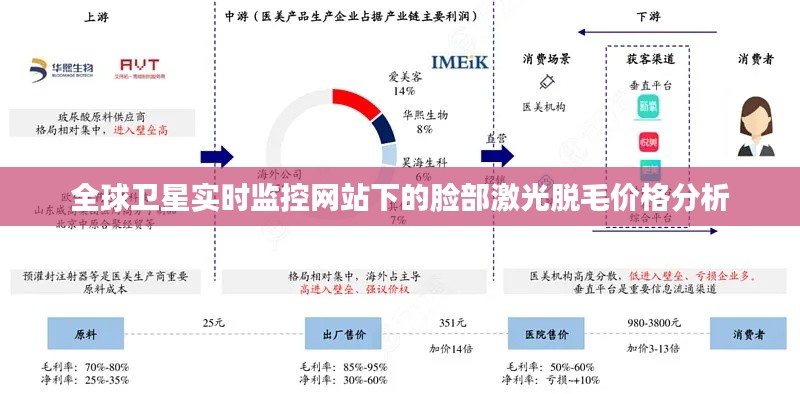 全球卫星实时监控网站下的脸部激光脱毛价格分析