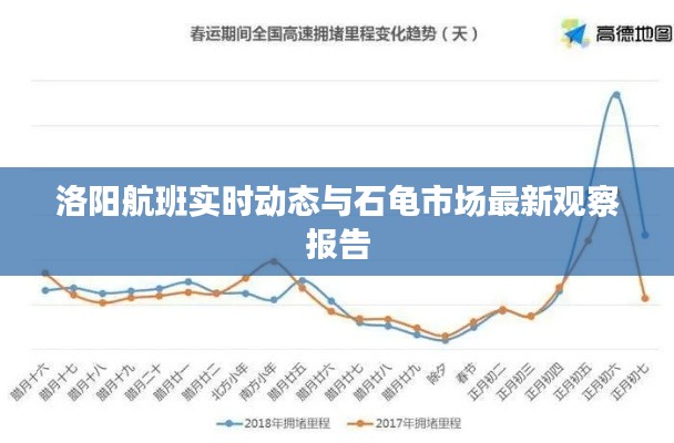 洛阳航班实时动态与石龟市场最新观察报告