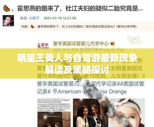 明星王美人与自驾游最新现象解读及策略探讨