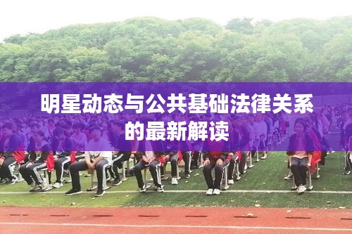 明星动态与公共基础法律关系的最新解读