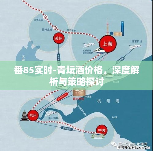 番85实时-青坛酒价格,深度解析与策略探讨