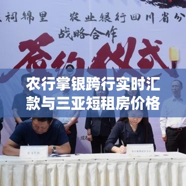 农行掌银跨行实时汇款与三亚短租房价格，概念解读与实施策略