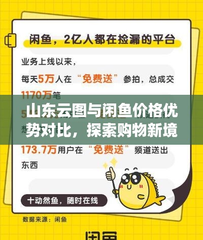 山东云图与闲鱼价格优势对比，探索购物新境界