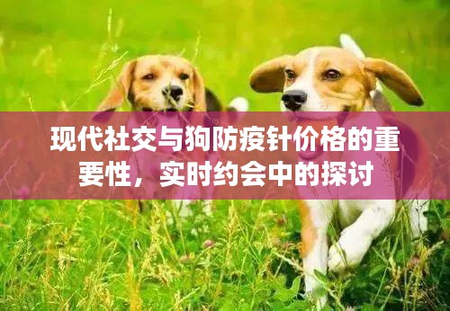 现代社交与狗防疫针价格的重要性，实时约会中的探讨