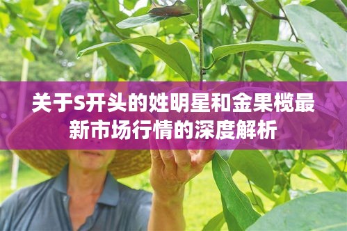 关于S开头的姓明星和金果榄最新市场行情的深度解析