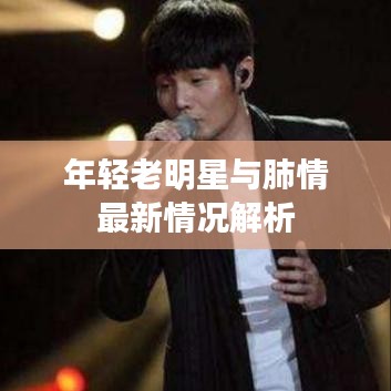 年轻老明星与肺情最新情况解析