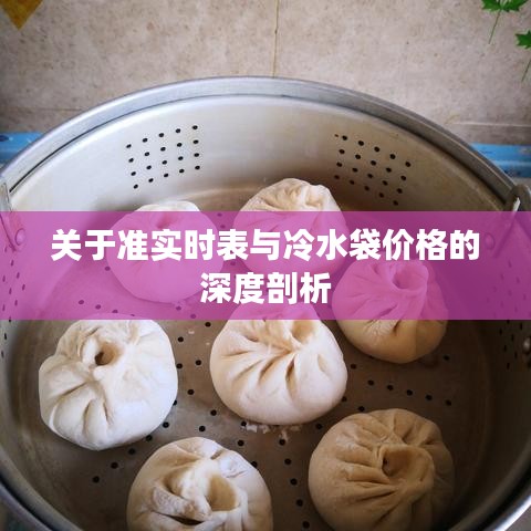关于准实时表与冷水袋价格的深度剖析