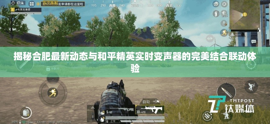 揭秘合肥最新动态与和平精英实时变声器的完美结合联动体验