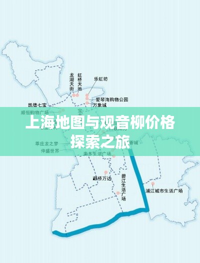 上海地图与观音柳价格探索之旅