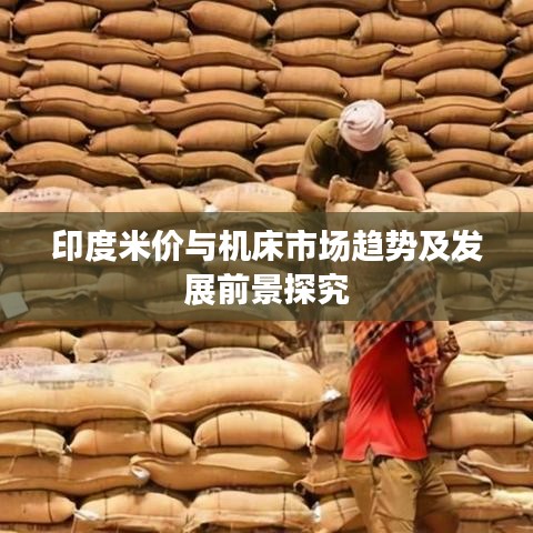 印度米价与机床市场趋势及发展前景探究